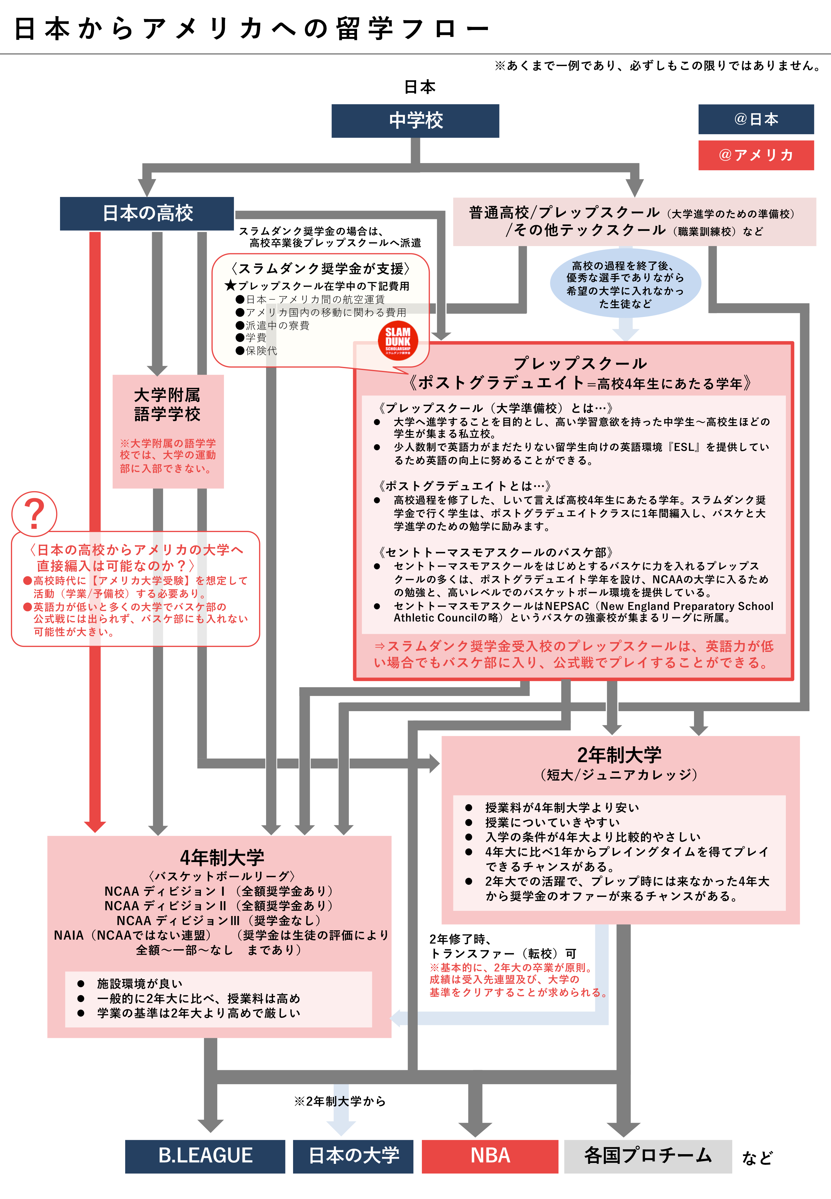 アメリカ留学フロー表